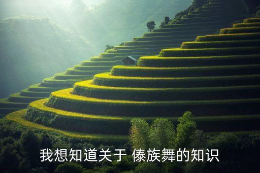 傣族舞蹈水色,傣族舞蹈欣赏（二）