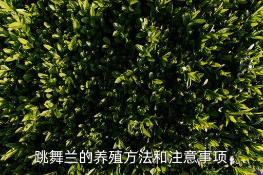 儿童舞蹈好一朵兰,从小培养孩子舞蹈兴趣爱好非常必要