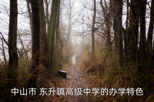中山市 东升镇高级中学的办学特色