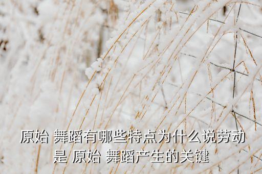  原始 舞蹈有哪些特点为什么说劳动是 原始 舞蹈产生的关键