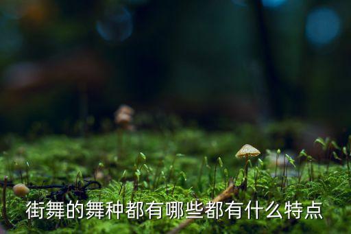 街舞的舞种都有哪些都有什么特点
