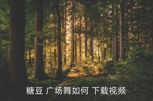 糖豆 广场舞如何 下载视频