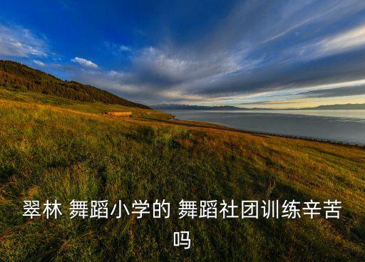 翠林 舞蹈小学的 舞蹈社团训练辛苦吗