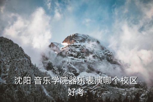 沈阳音乐学院体育舞蹈好考吗,专业不错但不好过!专业名列前茅