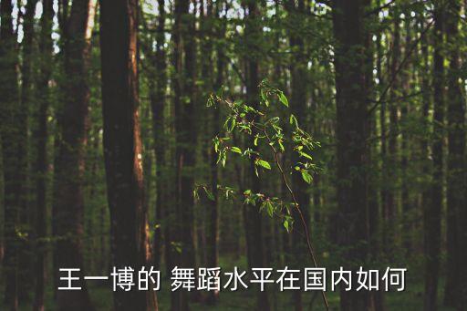 王一博的 舞蹈水平在国内如何