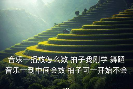 音乐一播放怎么数 拍子我刚学 舞蹈音乐一到中间会数 拍子可一开始不会...