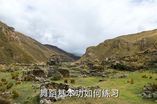 动起来舞蹈,第二集:舞蹈学习计划