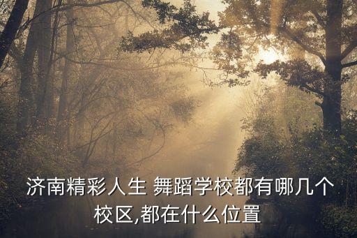  济南精彩人生 舞蹈学校都有哪几个校区,都在什么位置
