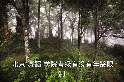  北京 舞蹈 学院考级有没有年龄限制