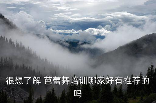 很想了解 芭蕾舞培训哪家好有推荐的吗