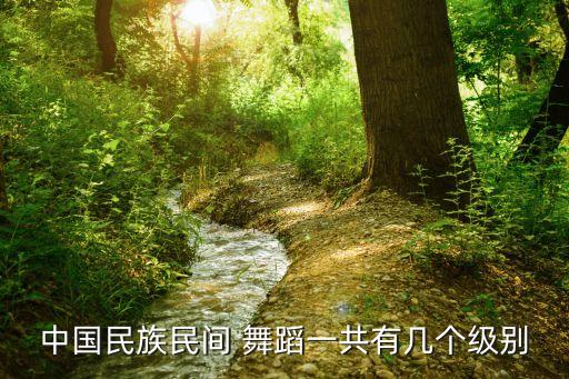 中国民族民间 舞蹈一共有几个级别