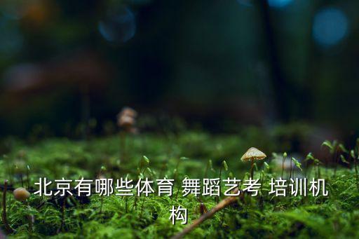  北京有哪些体育 舞蹈艺考 培训机构