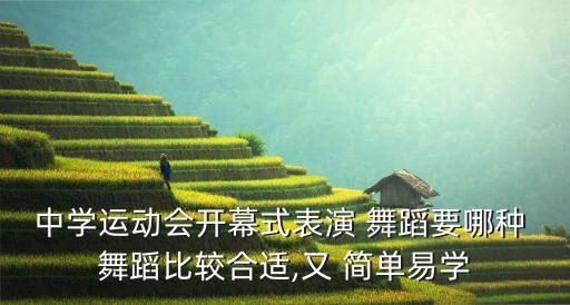 简单青春活力的舞蹈,本届大选2020