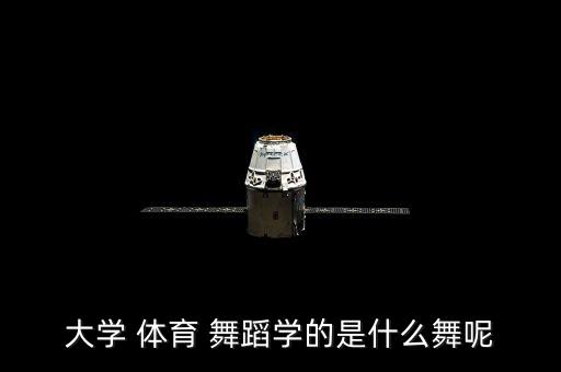 体育舞蹈跳舞服装,体育舞蹈被认为是真正的艺术