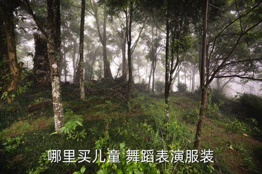 舞蹈用品行业情况,舞蹈鞋是指专为跳舞而穿的鞋