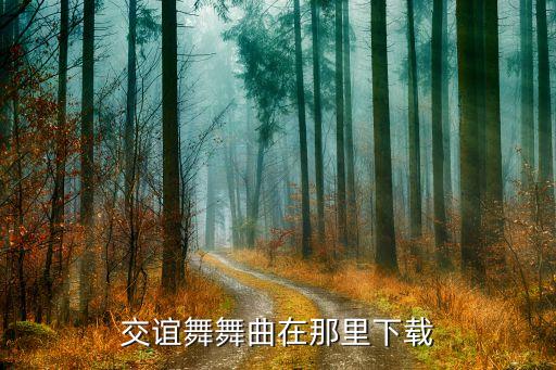 交谊舞舞曲在那里下载