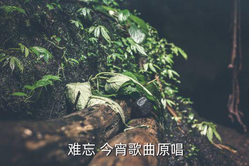  难忘 今宵歌曲原唱