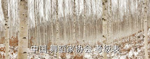 中国 舞蹈家协会 考级表