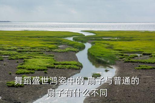  舞蹈盛世鸿姿中的 扇子与普通的 扇子有什么不同