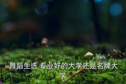 选舞蹈专业,中国舞蹈学院成为全球最大专业舞蹈名校