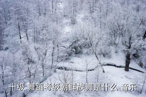 十级 舞蹈考级朝鲜族舞是什么 音乐