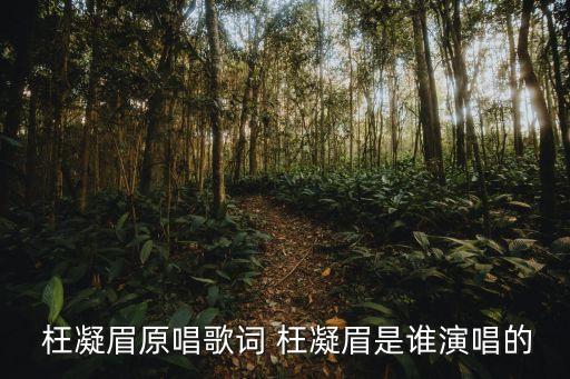  枉凝眉原唱歌词 枉凝眉是谁演唱的
