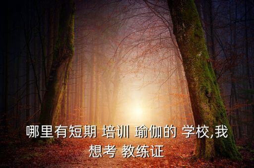 哪里有短期 培训 瑜伽的 学校,我想考 教练证