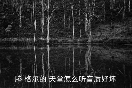 腾 格尔的 天堂怎么听音质好坏