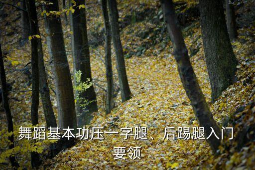  舞蹈基本功压一字腿、后踢腿入门 要领