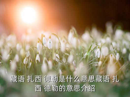 藏语 扎西 德勒是什么意思藏语 扎西 德勒的意思介绍
