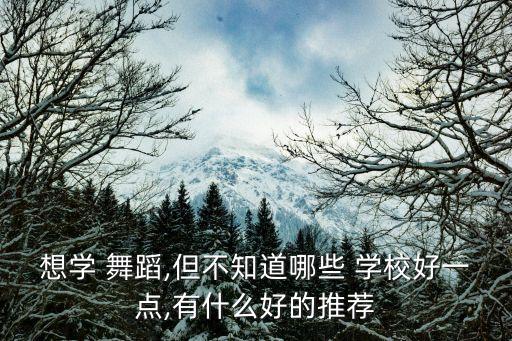 想学 舞蹈,但不知道哪些 学校好一点,有什么好的推荐