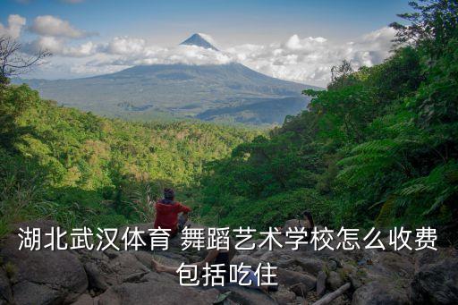 湖北省艺校学舞蹈,武汉华中艺术学校毕业生考入中国艺术院校
