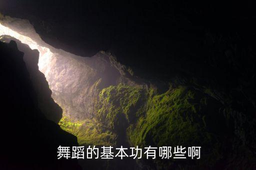 舞蹈坐头,艺考舞蹈有哪些基本功?