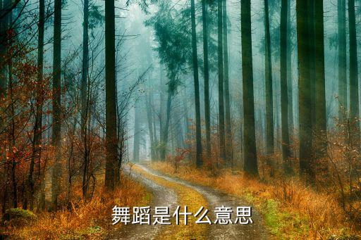  舞蹈是什么意思
