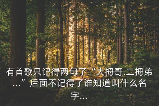 小牛舞蹈儿歌,快乐小鸟唱歌小鸡高兴吃米饭