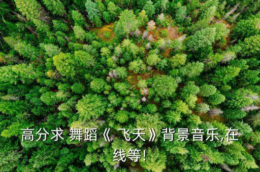 舞蹈飞天视频,《敦煌飞天》序舞台上只能用一条腿和上半身表演