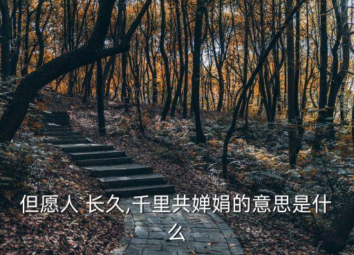 但愿人 长久,千里共婵娟的意思是什么