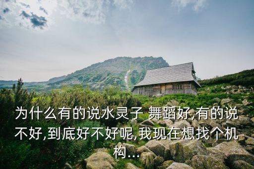 为什么有的说水灵子 舞蹈好,有的说不好,到底好不好呢,我现在想找个机构...