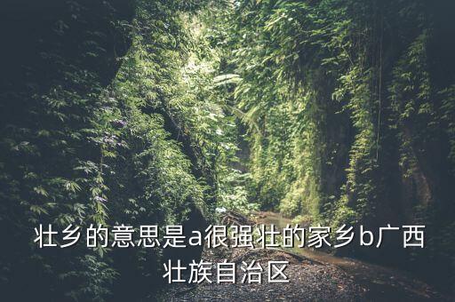  壮乡的意思是a很强壮的家乡b广西壮族自治区
