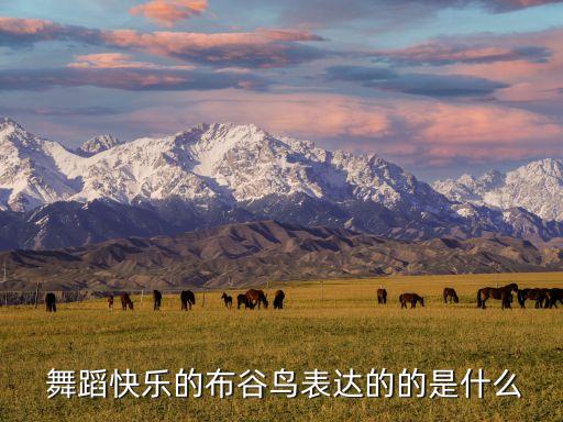  舞蹈快乐的布谷鸟表达的的是什么