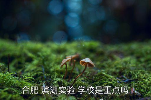 合肥 滨湖实验 学校是重点吗