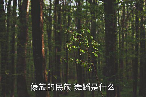 傣族的民族 舞蹈是什么
