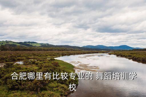  合肥哪里有比较专业的 舞蹈培训学校