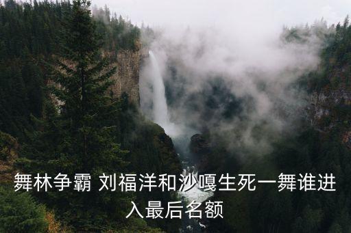 舞林争霸 刘福洋和沙嘎生死一舞谁进入最后名额