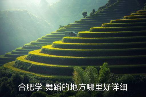 安徽 舞蹈,合肥舞蹈学校全国连锁教练培训考核基地