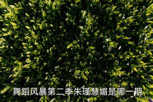  舞蹈风暴第二季朱瑾慧媚是哪一期