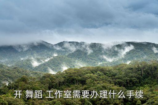开 舞蹈 工作室需要办理什么手续