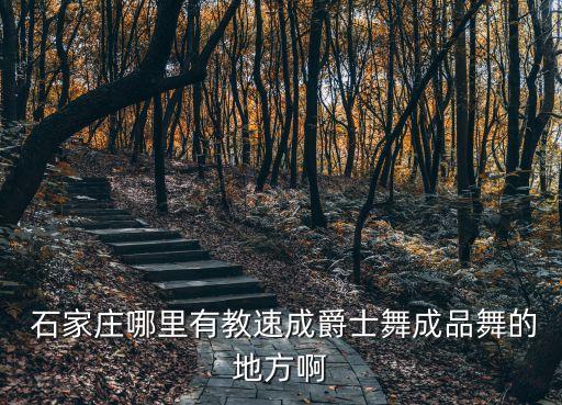  石家庄哪里有教速成爵士舞成品舞的地方啊