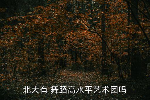北大有 舞蹈高水平艺术团吗