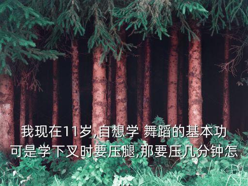 我现在11岁,自想学 舞蹈的基本功可是学下叉时要压腿,那要压几分钟怎...